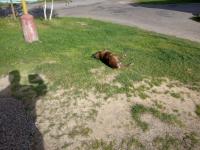 IMG_20231007_111732 (1024x768).jpg